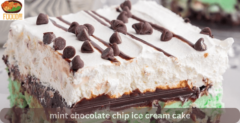 mint chocolate chip ice cream cake